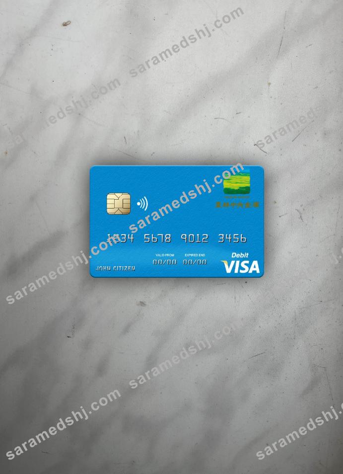 Japan Norinchukin Bank visa debit card photolook front